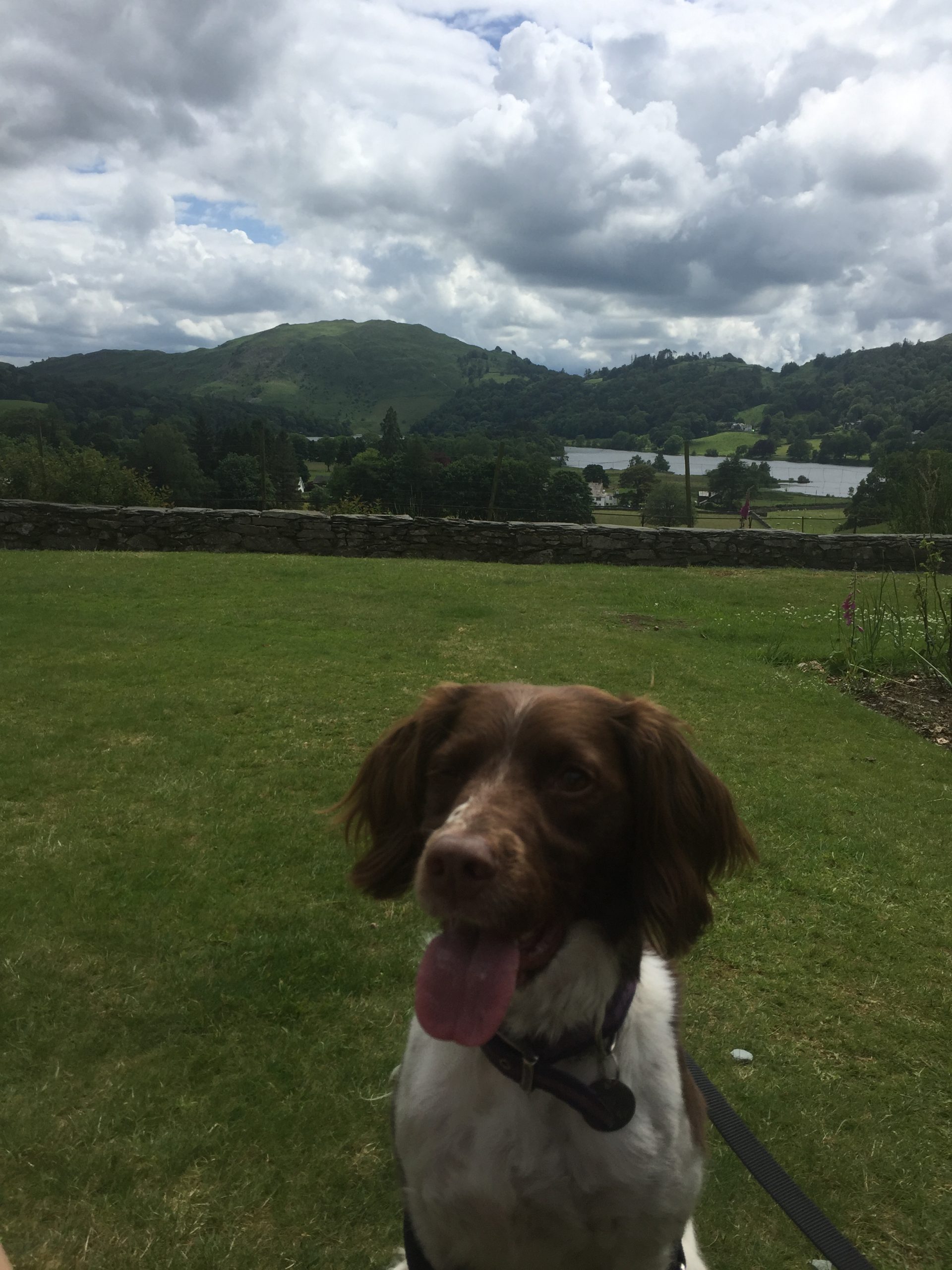 places to visit with dogs north west